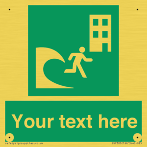 Custom Safe Condition Tsunami evacuation building